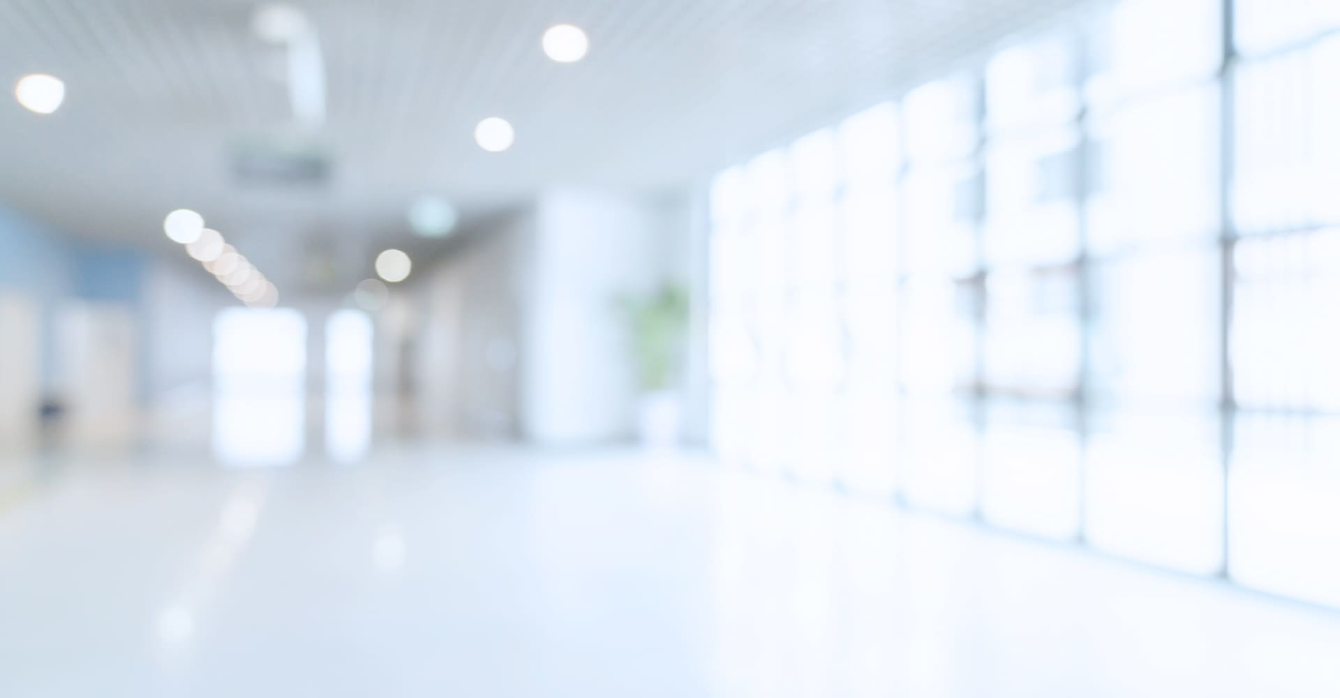 メインビジュアル02（PC）