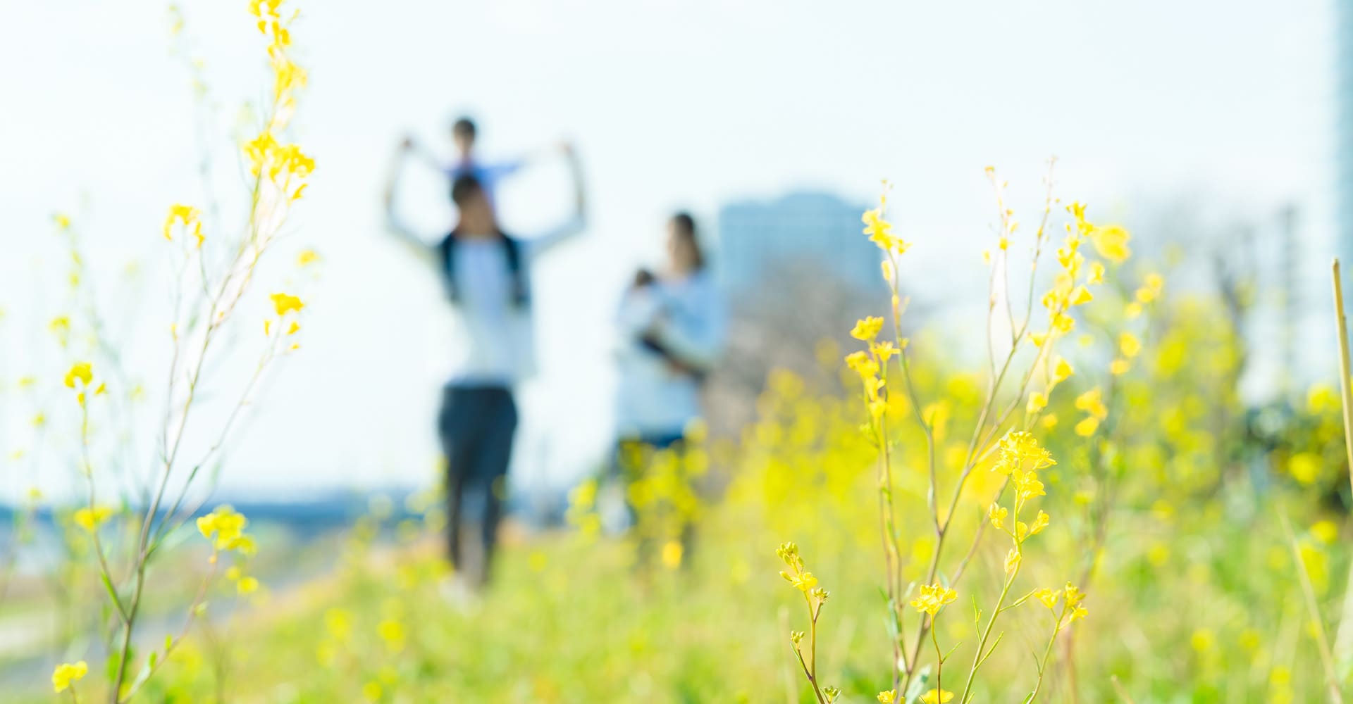 メインビジュアル01（PC）